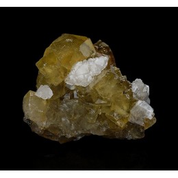 Fluorite, Calcite and Pyrite Villabona M05627